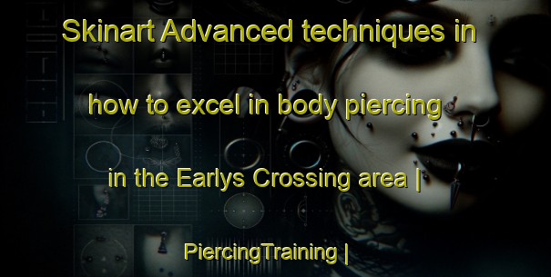 Skinart Advanced techniques in how to excel in body piercing in the Earlys Crossing area | PiercingTraining | PiercingClasses | SkinartTraining-United States